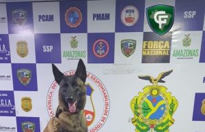 Base Arpão: Cadela policial Havana fareja droga em embarcaçãoAgentes apreendem 11kg de skunk durante abordagem a embarcação