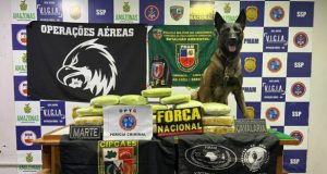 Coari: Homem é preso com 33 quilos de droga em embarcaçãoA droga foi farejada pela cadela policial Havana