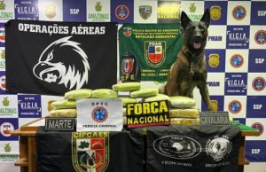 Coari: Homem é preso com 33 quilos de droga em embarcaçãoA droga foi farejada pela cadela policial Havana