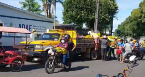 Parintins: Populares saqueiam carregamento de laranjasCom possível incidência da praga mosca da carambola, o carregamento seria despejado por incidência do risco de contaminação.