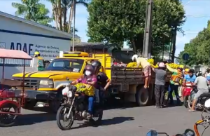 Parintins: Populares saqueiam carregamento de laranjasCom possível incidência da praga mosca da carambola, o carregamento seria despejado por incidência do risco de contaminação.