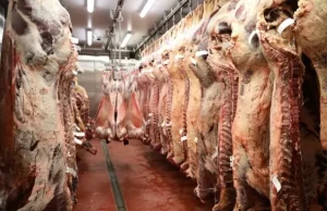 China concorda em retomar importações de carne bovina do BrasilAs vendas de carne bovina para a China foram suspensas voluntariamente pelas autoridades brasileiras em fevereiro de 2022.