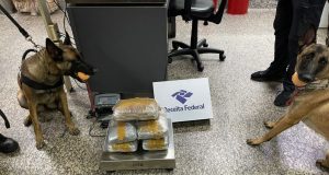 Denúncias repassadas à SSP-AM resultam na prisão de dois homens com drogas no Aeroporto de Guarulhos (SP)As drogas encontradas com os suspeitos totalizaram cerca de 6,5 kg.