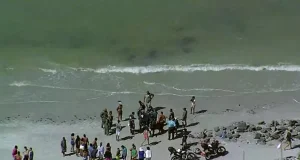 Paramotor cai em praia de Pernambuco; filho morre e pai fica feridoA queda de um paramotor matou uma pessoa e deixou outra ferida em Itamaracá, litoral de Pernambuco.