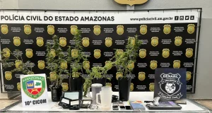 Homem que mantinha plantação de maconha em casa é preso no bairro AlvoradaCom o suspeito também foram apreendidos maconha tipo skunk, LSD e balanças de precisão.