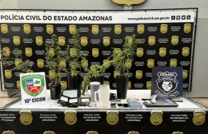 Homem que mantinha plantação de maconha em casa é preso no bairro AlvoradaCom o suspeito também foram apreendidos maconha tipo skunk, LSD e balanças de precisão.