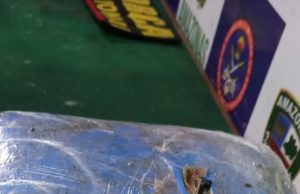 Coari(AM): Agentes apreendem 12kg de skunk em abordagem à embarcaçãoA droga foi encontrada com apoio do cão de faro de narcóticos. Coari(AM):Agentes apreendem 12kg de skunk em abordagem à embarcação