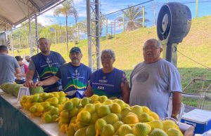 Dia Internacional da Família: Produtora rural e seus familiares comercializam produtos nas feiras regionais da ADSO feirante ressalta que trabalham para fazer clientes e para conquistá-los, pois não estão na feira para vender somente um dia, estão para vender por mais 10, 20, 30 anos. Dia Internacional da Família: Produtora rural e seus familiares comercializam produtos nas feiras regionais da ADS