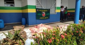 Policiais do Batalhão de Policiamento Ambiental apreendem 781 kg de carne de animais silvestre em feira em CoariA apreensão foi realizada em conjunto com agentes de órgãos de vigilância e meio ambiente do município e Guarda Civil Municipal. Policiais do Batalhão de Policiamento Ambiental apreendem 781 kg de carne de animais silvestre em feira em Coari