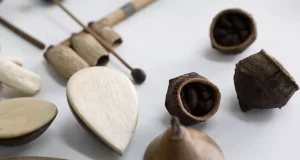 Curso de bioinstrumentos do Liceu Claudio Santoro incentiva a valorização da cultura amazônicaOficina busca ensinar a confecção e manuseio de instrumentos musicais produzidos a partir de materiais orgânicos da floresta. Curso de bioinstrumentos do Liceu Claudio Santoro incentiva a valorização da cultura amazônica