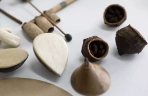 Curso de bioinstrumentos do Liceu Claudio Santoro incentiva a valorização da cultura amazônicaOficina busca ensinar a confecção e manuseio de instrumentos musicais produzidos a partir de materiais orgânicos da floresta. Curso de bioinstrumentos do Liceu Claudio Santoro incentiva a valorização da cultura amazônica