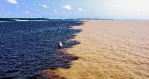 Amazonas é destaque entre os 100 lugares incríveis do BrasilFolha de São Paulo destaca quatro lugares no Amazonas para conhecer antes de morrer. Amazonas é destaque entre os 100 lugares incríveis do Brasil