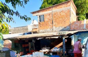 Em Manaus, abatedouro ilegal de aves é interditadoAproximadamente 800 aves, entre vivas e abatidas, foram apreendidas e destinadas ao zoológico do CIGS. Em Manaus, abatedouro ilegal de aves é interditado