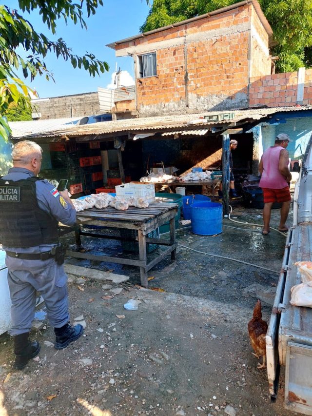 Em Manaus, abatedouro ilegal de aves é interditado