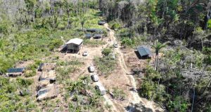 Em Humaitá, Forças de Segurança apuram denúncias de queimadas e desmatamento ilegalConforme a autoridade policial, em diversos locais foram encontradas a sigla do grupo, dando a entender que as terras seriam de propriedade deles. Em Humaitá, Forças de Segurança apuram denúncias de queimadas e desmatamento ilegal