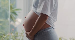Instituto da Mulher Dona Lindu promove palestra sobre Violência ObstétricaA violência obstétrica atinge diretamente as mulheres e pode ocorrer durante a gestação, parto e pós-parto. Instituto da Mulher Dona Lindu promove palestra sobre Violência Obstétrica