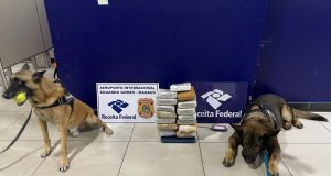 Receita Federal apreende 8,5 quilos de maconha do tipo skunk camuflada em polpa de açaíA droga estava sendo transportada por uma mulher, de 18 anos, que foi presa em flagrante no Aeroporto Internacional de Manaus. Receita Federal apreende 8,5 quilos de maconha do tipo skunk camuflada em polpa de açaí