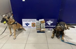 Receita Federal apreende 8,5 quilos de maconha do tipo skunk camuflada em polpa de açaíA droga estava sendo transportada por uma mulher, de 18 anos, que foi presa em flagrante no Aeroporto Internacional de Manaus. Receita Federal apreende 8,5 quilos de maconha do tipo skunk camuflada em polpa de açaí