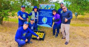 Ação solidária distribui 1,2 toneladas de laranjas à famílias vulneráveis de ManausTrês instituições socioassistenciais foram beneficiadas pela ação do Programa Estadual de Combate ao Desperdício e à Perda de Alimentos. Ação solidária distribui 1,2 toneladas de laranjas à famílias vulneráveis de Manaus