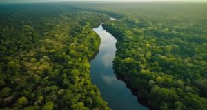 Amazonas mantém o primeiro lugar no ranking de competitivo da Região Norte, segundo o Centro de Liderança Pública (CLP)O Ranking avaliou 99 indicadores, em 10 pilares temáticos: Infraestrutura, Sustentabilidade Social, Segurança Pública, Educação, Solidez Fiscal, Eficiência da Máquina Pública, Capital Humano, Sustentabilidade Ambiental, Potencial de Mercado e Inovação. Amazonas mantém o primeiro lugar no ranking de competitivo da Região Norte, segundo o Centro de Liderança Pública (CLP)