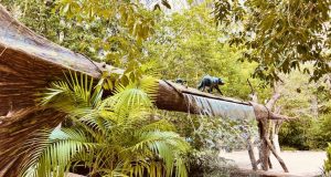 Amazonastur destaca roteiro para aproveitar o feriado prolongado da Semana da PátriaEm verão amazônico e feriado, Amazonastur indica parques aquáticos, restaurante e hospedagem. Amazonastur destaca roteiro para aproveitar o feriado prolongado da Semana da Pátria