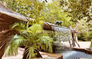 Amazonastur destaca roteiro para aproveitar o feriado prolongado da Semana da PátriaEm verão amazônico e feriado, Amazonastur indica parques aquáticos, restaurante e hospedagem. Amazonastur destaca roteiro para aproveitar o feriado prolongado da Semana da Pátria