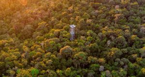 Atrações turísticas e meios de hospedagem do Amazonas recebem selo “Melhores dos Melhores 2023” do TripAdvisorO selo é concedido a estabelecimentos e atrativos turísticos que receberam avaliações positivas nos últimos 12 meses, por meio do compartilhamento de boas experiências. Atrações turísticas e meios de hospedagem do Amazonas recebem selo “Melhores dos Melhores 2023” do TripAdvisor
