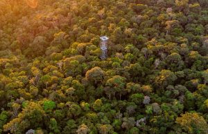 Atrações turísticas e meios de hospedagem do Amazonas recebem selo “Melhores dos Melhores 2023” do TripAdvisorO selo é concedido a estabelecimentos e atrativos turísticos que receberam avaliações positivas nos últimos 12 meses, por meio do compartilhamento de boas experiências. Atrações turísticas e meios de hospedagem do Amazonas recebem selo “Melhores dos Melhores 2023” do TripAdvisor