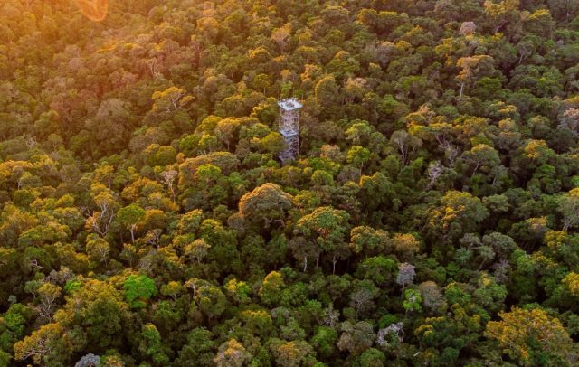 Atrações turísticas e meios de hospedagem do Amazonas recebem selo “Melhores dos Melhores 2023” do TripAdvisor