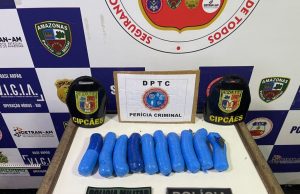 Com auxílio de cães farejadores, agentes da SSP-AM apreendem porções de maconha em embarcaçãoApreensão do entorpecente representa dano de R$ 30 mil ao crime. Cães farejadores, agentes da SSP-AM apreendem porções de maconha em embarcação