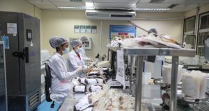 Doenças sanguíneas, câncer e cirurgias cardíacas impulsionam demanda por transfusões de sangue no AmazonasMais de 81 mil transfusões são realizadas no Amazonas anualmente e cerca de 25 mil hemocomponentes são destinados ao tratamento de pacientes com doenças graves. Doenças sanguíneas, câncer e cirurgias cardíacas impulsionam demanda por transfusões de sangue no Amazonas