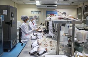 Doenças sanguíneas, câncer e cirurgias cardíacas impulsionam demanda por transfusões de sangue no AmazonasMais de 81 mil transfusões são realizadas no Amazonas anualmente e cerca de 25 mil hemocomponentes são destinados ao tratamento de pacientes com doenças graves. Doenças sanguíneas, câncer e cirurgias cardíacas impulsionam demanda por transfusões de sangue no Amazonas