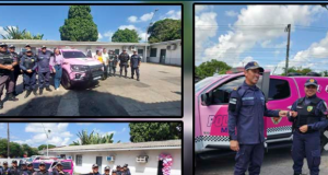 Em Parintins, Polícia Militar realiza entrega de viatura Ronda Maria da PenhaA cerimônia contou com a presença de autoridades militares e civis, efetivo do Ronda Maria da Penha de Manaus e Parintins. Em Parintins, Polícia Militar realiza entrega de viatura Ronda Maria da Penha