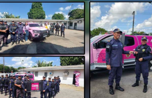 Em Parintins, Polícia Militar realiza entrega de viatura Ronda Maria da PenhaA cerimônia contou com a presença de autoridades militares e civis, efetivo do Ronda Maria da Penha de Manaus e Parintins. Em Parintins, Polícia Militar realiza entrega de viatura Ronda Maria da Penha