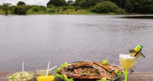 Gastronomia amazonense: O tesouro culinário do Norte do BrasilAmazonastur disponibiliza a ferramenta ‘Amazonas to go’ para encontrar espaços gastronômicos credenciados. Gastronomia amazonense: O tesouro culinário do Norte do Brasil