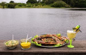 Gastronomia amazonense: O tesouro culinário do Norte do BrasilAmazonastur disponibiliza a ferramenta ‘Amazonas to go’ para encontrar espaços gastronômicos credenciados. Gastronomia amazonense: O tesouro culinário do Norte do Brasil