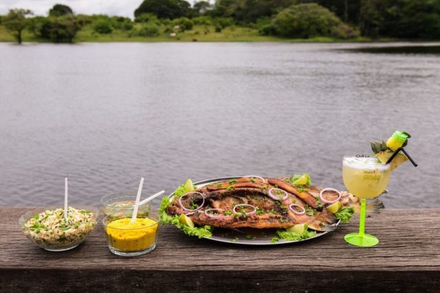 Gastronomia amazonense: O tesouro culinário do Norte do Brasil