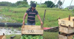 Governo do Amazonas escoa mais de 500 toneladas de produtos regionais pelo Programa Balcão de AgronegóciosA ação realizada desde janeiro já movimentou R$ 1,4 milhão. Governo do Amazonas escoa mais de 500 toneladas de produtos regionais pelo Programa Balcão de Agronegócios
