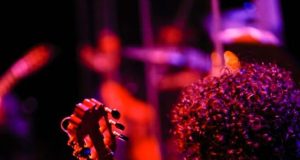 Orquestra de Violões do Amazonas faz homenagem ao rei Roberto Carlos com o espetáculo ‘Emoções’O concerto inédito traz os maiores sucessos do rei da música romântica. A entrada é gratuita. Orquestra de Violões do Amazonas faz homenagem ao rei Roberto Carlos com o espetáculo ‘Emoções’