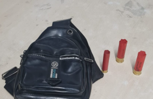 Na zona leste de Manaus, Polícia Civil prende mulher por integrar associação criminosa armadaInfratora atraía as vítimas para locais com pouca movimentação onde eram roubadas por homens armados. Na zona leste de Manaus, Polícia Civil prende mulher por integrar associação criminosa armada