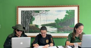 Polícia deflagra ‘Operação Curupira’ e identifica áreas desmatadas na margem direita do Rio Negro Polícia deflagra Operação Curupira e identifica áreas desmatadas na margem direita do Rio Negro