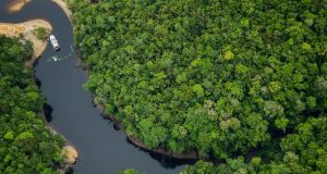 Revista americana Forbes, aponta Amazonas como melhor lugar do mundo para o ecoturismoA informação consta no Índice de Ecoturismo da revista norte-americana, uma das mais conceituadas publicações de economia e negócios do mundo. Revista americana Forbes, aponta Amazonas como melhor lugar do mundo para o ecoturismo