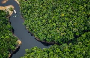 Revista americana Forbes, aponta Amazonas como melhor lugar do mundo para o ecoturismoA informação consta no Índice de Ecoturismo da revista norte-americana, uma das mais conceituadas publicações de economia e negócios do mundo. Revista americana Forbes, aponta Amazonas como melhor lugar do mundo para o ecoturismo