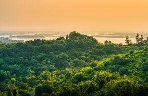 Sema prorroga envio de propostas de projetos de REDD+ para Unidades de Conservação Instituições habilitadas como Agentes Executores de Serviços Ambientais poderão enviar propostas de projetos de carbono até 19 de outubro. Sema prorroga envio de propostas de projetos de REDD+ para Unidades de Conservação