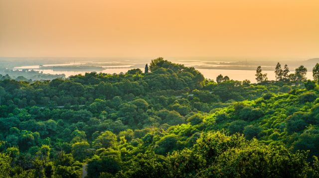 Sema prorroga envio de propostas de projetos de REDD+ para Unidades de Conservação