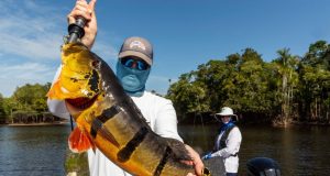Temporada de pesca esportiva deve atrair 30 mil turistas ao AmazonasO Amazonas detém oito recordes mundiais na modalidade que promete movimentar R$ 500 milhões até o mês de março de 2024 Temporada de pesca esportiva deve atrair 30 mil turistas ao Amazonas