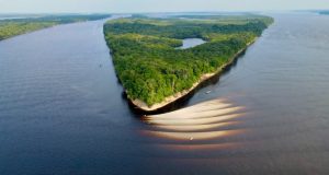 Conheça praias inexploradas e paradisíacas do AmazonasAs praias de água doce do Amazonas revelam suas faixas extensas de areia. Aproveite as temperaturas mais altas do verão para se refrescar. Conheça praias inexploradas e paradisíacas do Amazonas