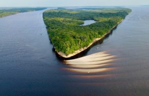 Conheça praias inexploradas e paradisíacas do AmazonasAs praias de água doce do Amazonas revelam suas faixas extensas de areia. Aproveite as temperaturas mais altas do verão para se refrescar. Conheça praias inexploradas e paradisíacas do Amazonas