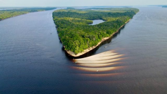 Conheça praias inexploradas e paradisíacas do Amazonas