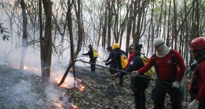 Corpo de Bombeiros monta força-tarefa para combater incêndio em área de mataMais de 40 bombeiros estão atuando em Iranduba para combater o incêndio. Corpo de Bombeiros monta força-tarefa para combater incêndio em área de mata